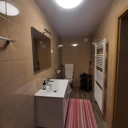 公寓 Apartma Zirovnik