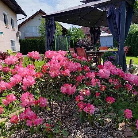 Apartman Apartma Zirovnik