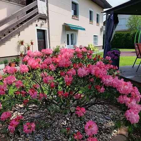 Apartman Apartma Zirovnik *