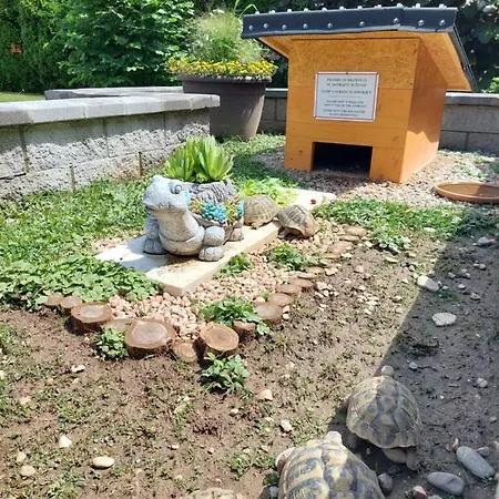 公寓 Apartma Zirovnik