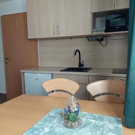 公寓 Apartma Zirovnik