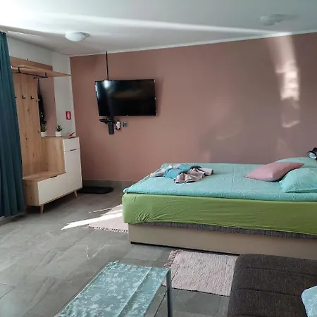 公寓 Apartma Zirovnik