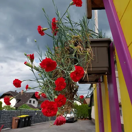 Lägenhet Apartma Zirovnik *