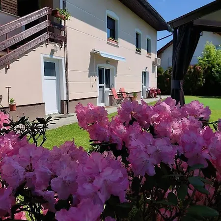 Apartma Zirovnik Lägenhet Cerklje na Gorenjskem