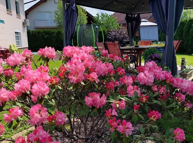 Appartamento Apartma Zirovnik