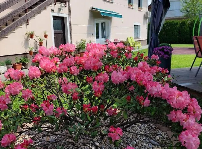 Appartamento Apartma Zirovnik *