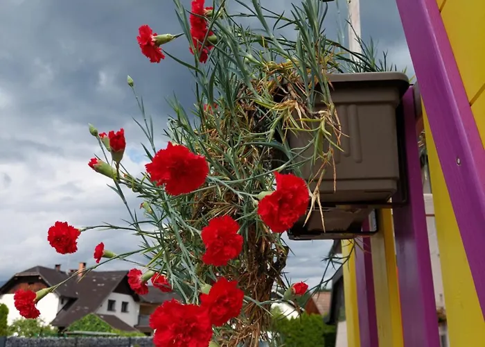 Lägenhet Apartma Zirovnik *