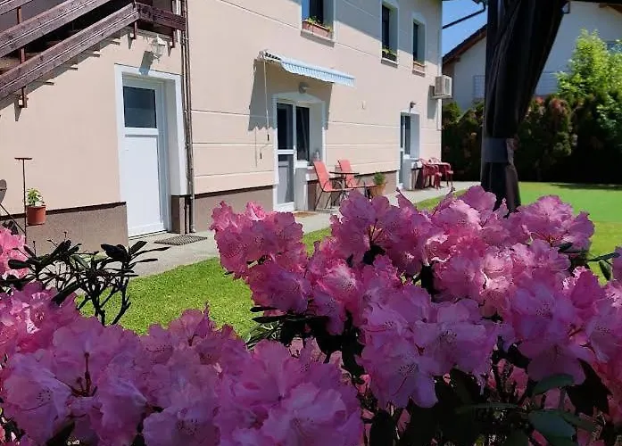 Apartma Zirovnik Lägenhet Cerklje na Gorenjskem